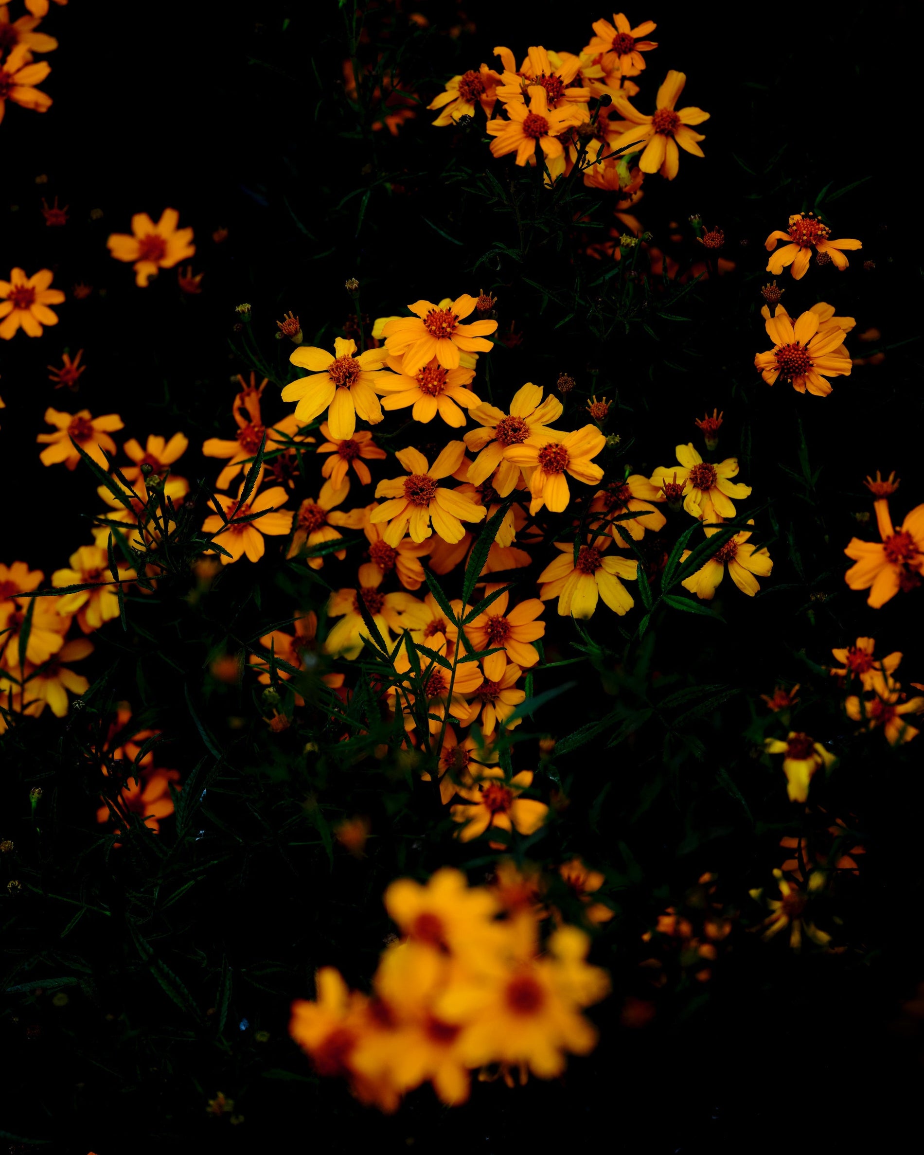 Troubled SKIN - LESS IS MORE!